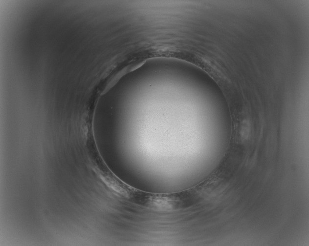 X0000075360710200609081215