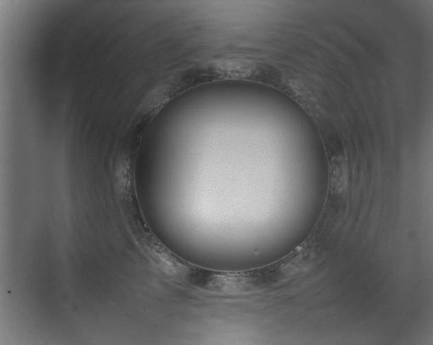 X0000075360713200609081215