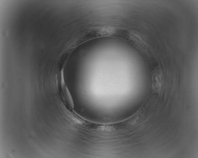 X0000075360714200609081215