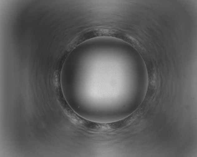 X0000075360715200609081215