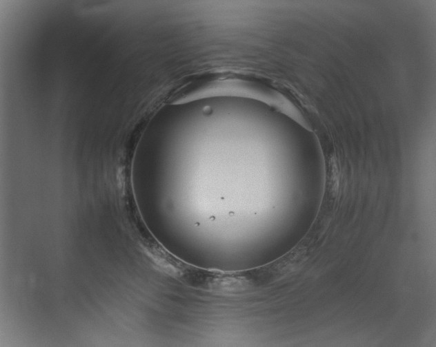 X0000075360716200609081215