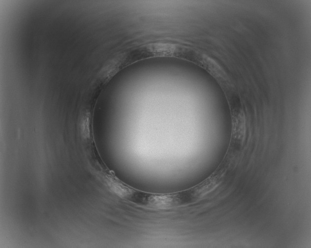 X0000075360717200609081215