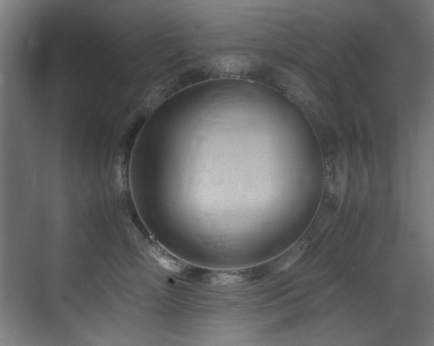 X0000075360718200609081215