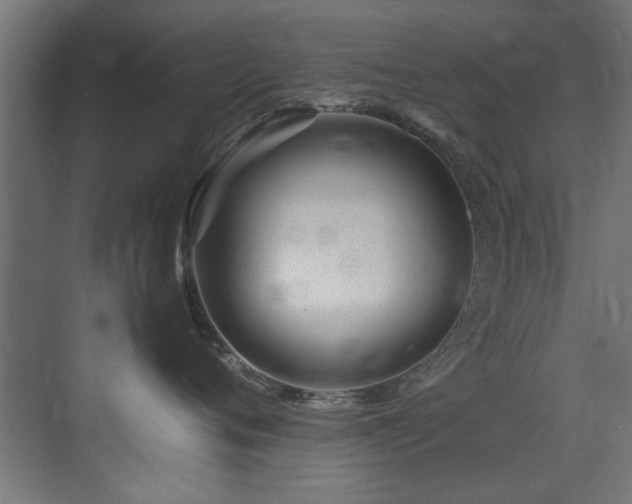 X0000075360720200609081215