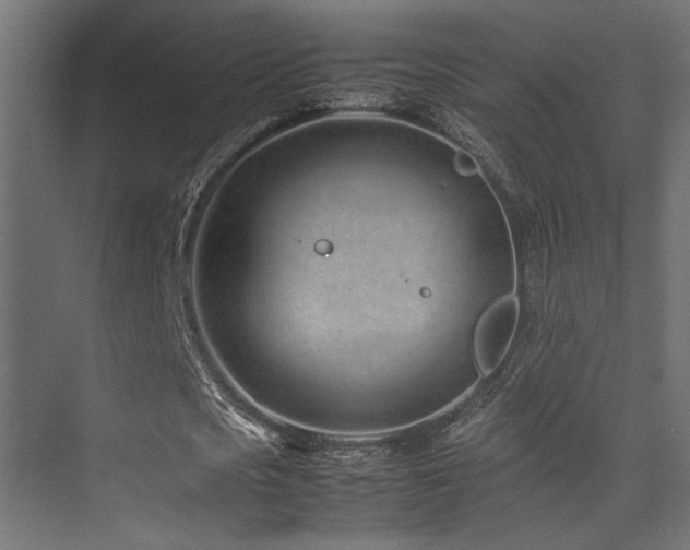 X0000075360721200609081214