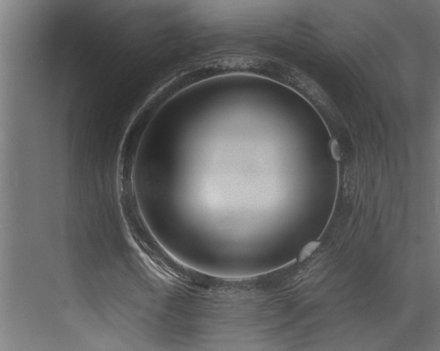 X0000075360722200609081214