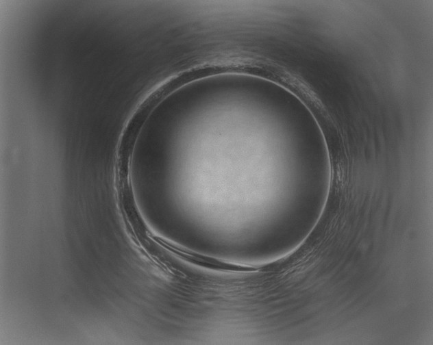 X0000075360724200609081214