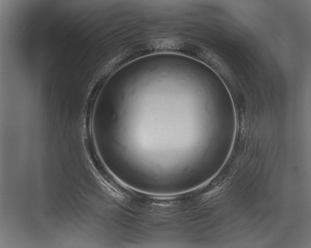 X0000075360725200609081214