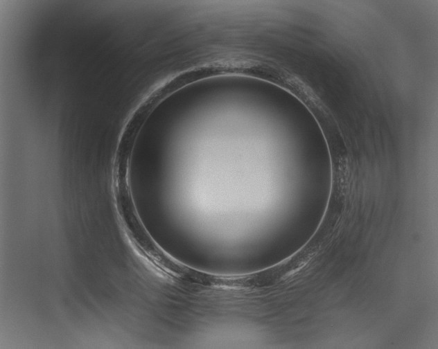 X0000075360726200609081214