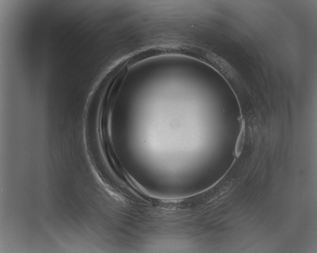 X0000075360728200609081215