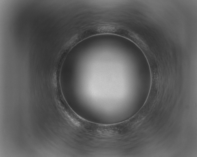 X0000075360729200609081215