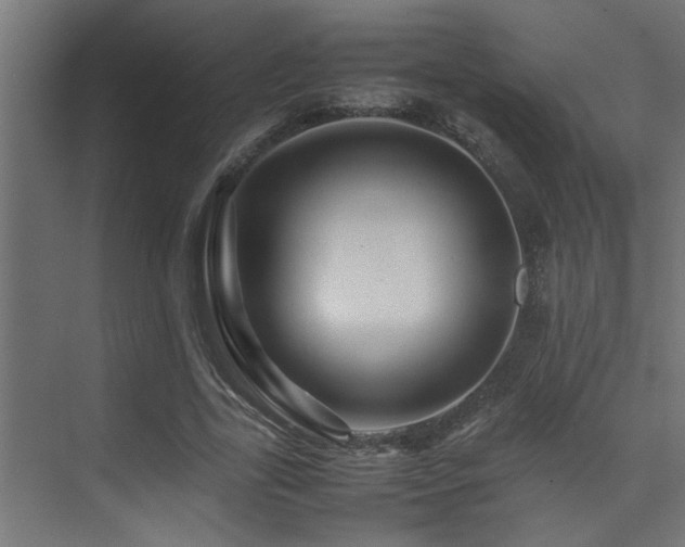 X0000075360731200609081215