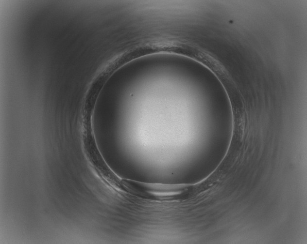 X0000075360732200609081215