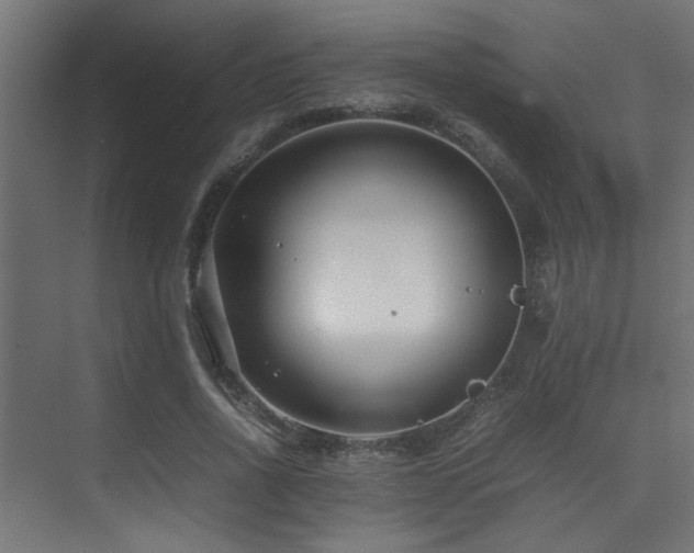 X0000075360734200609081215