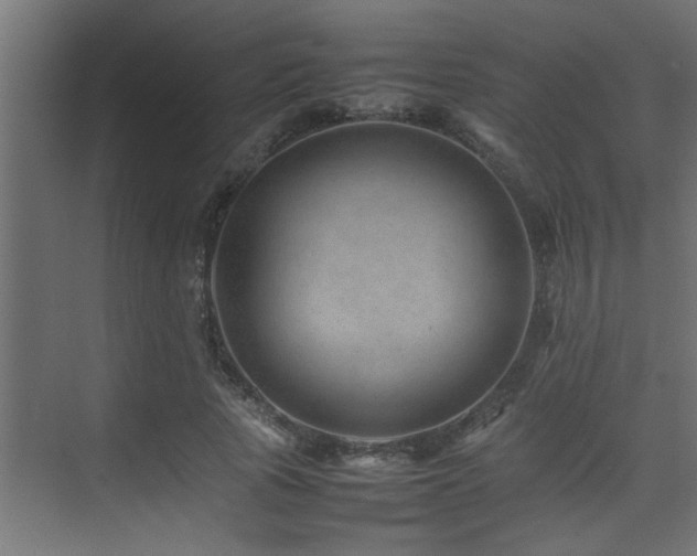 X0000075360737200609081215