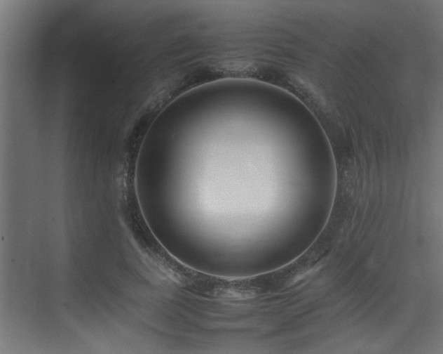 X0000075360739200609081215