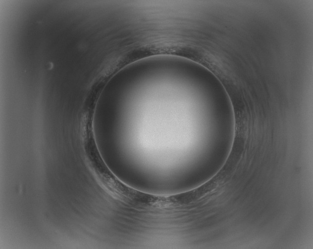 X0000075360742200609081215