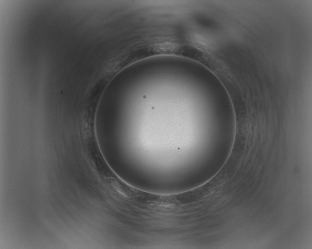 X0000075360743200609081215