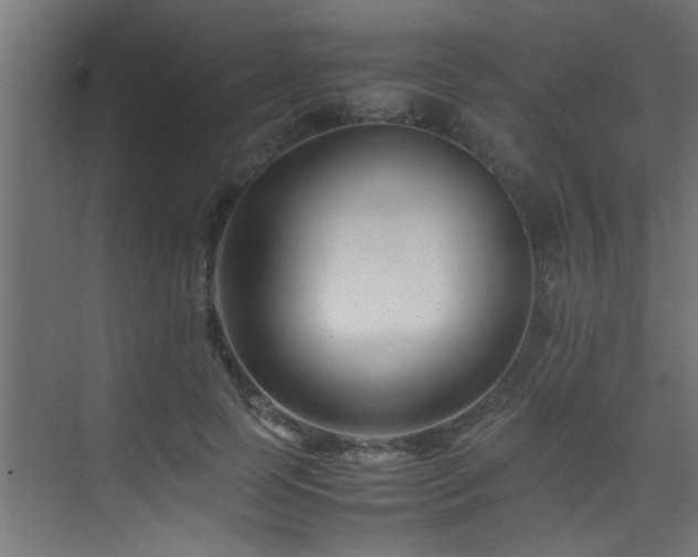 X0000075360745200609081215