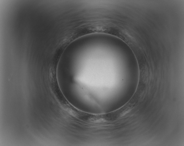 X0000075360747200609081215