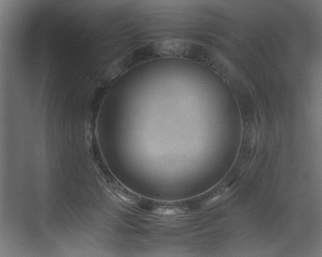 X0000075360749200609081215