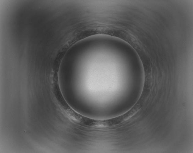 X0000075360750200609081215