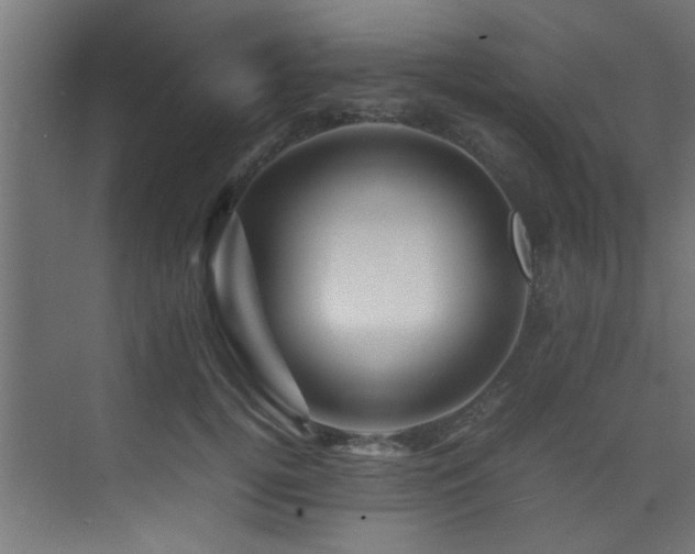 X0000075360752200609081215