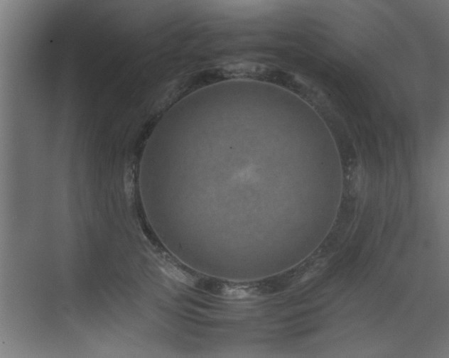 X0000075360753200609081215