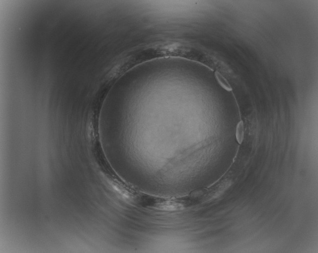 X0000075360754200609081215