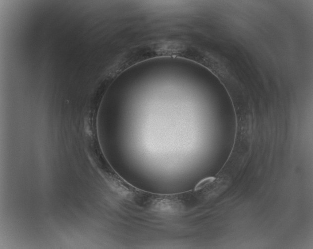 X0000075360755200609081215