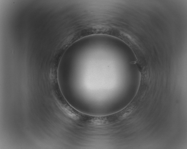 X0000075360756200609081215