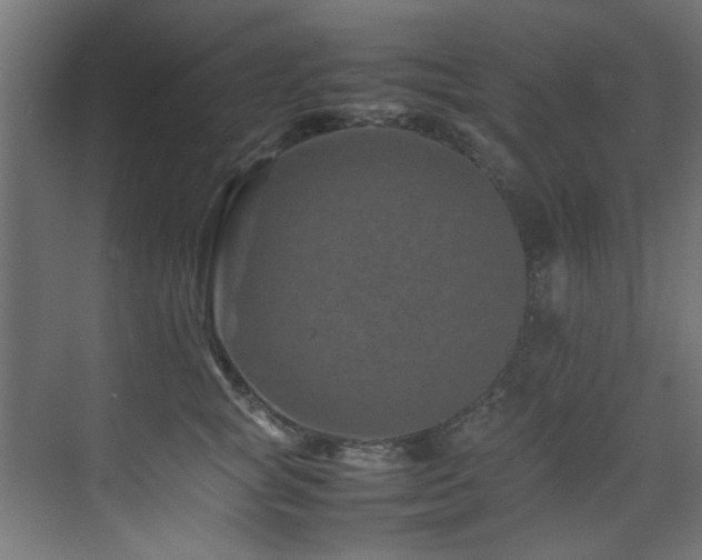 X0000075360757200609081215