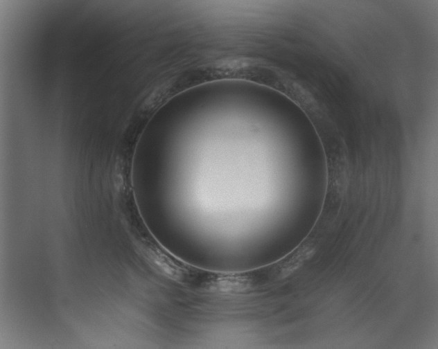 X0000075360758200609081215