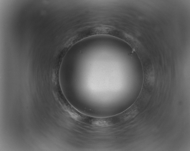 X0000075360759200609081215