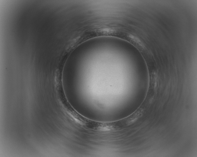 X0000075360760200609081215