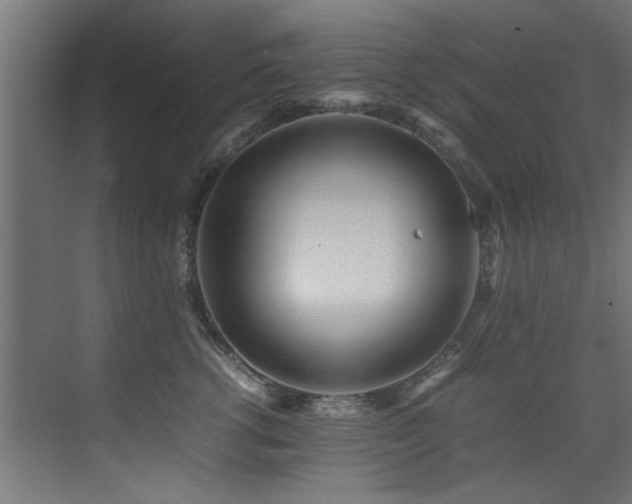 X0000075360762200609081215