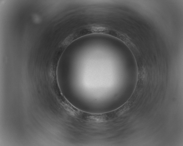 X0000075360763200609081215