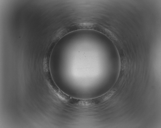 X0000075360764200609081215