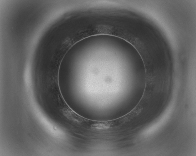 X0000075360765200609081215