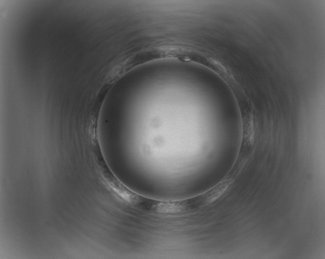 X0000075360766200609081215