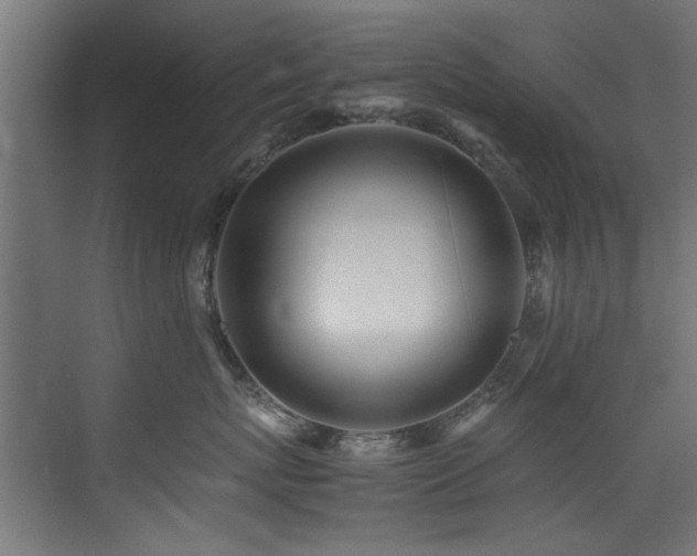 X0000075360767200609081215