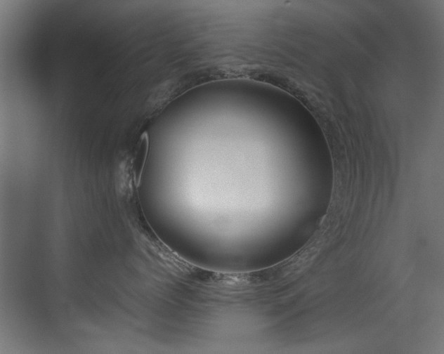 X0000075360768200609081215