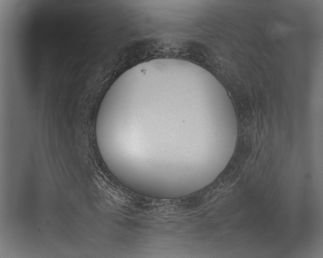 X0000075360769200609081214