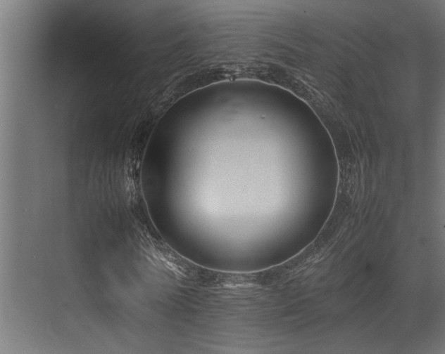 X0000075360770200609081214