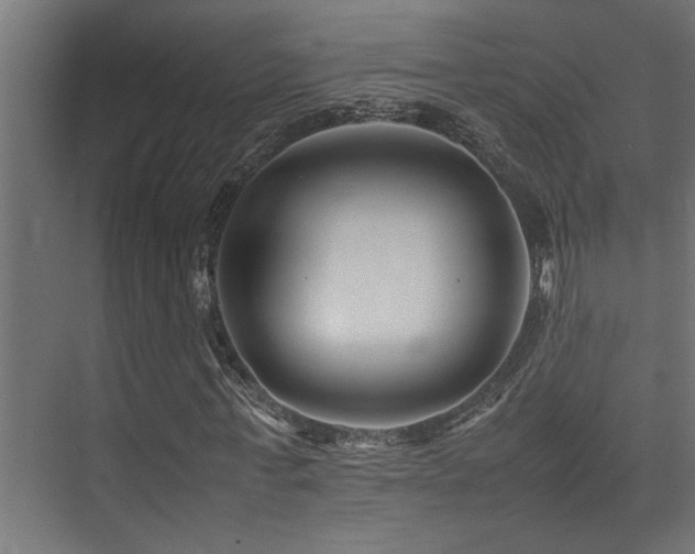 X0000075360771200609081214