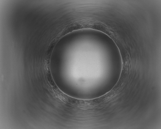 X0000075360772200609081214