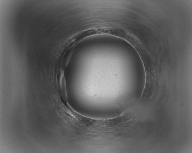 X0000075360773200609081214