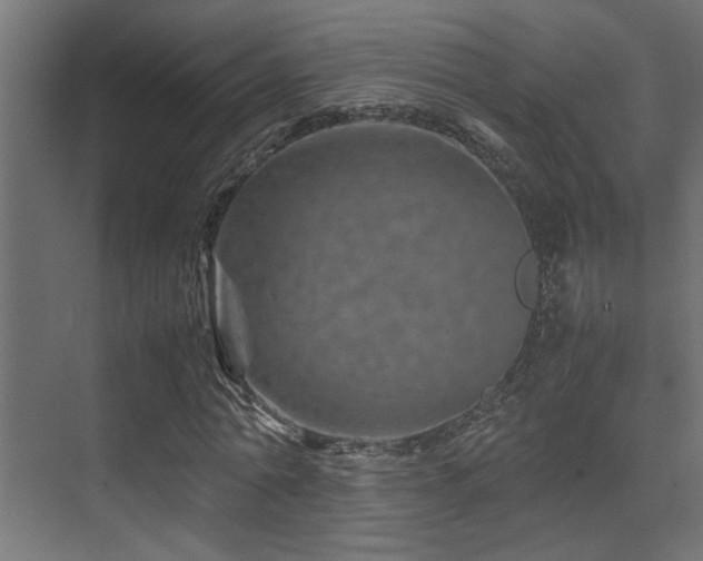 X0000075360774200609081214