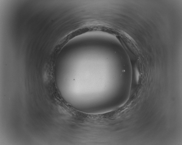 X0000075360775200609081214