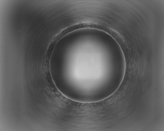 X0000075360776200609081214